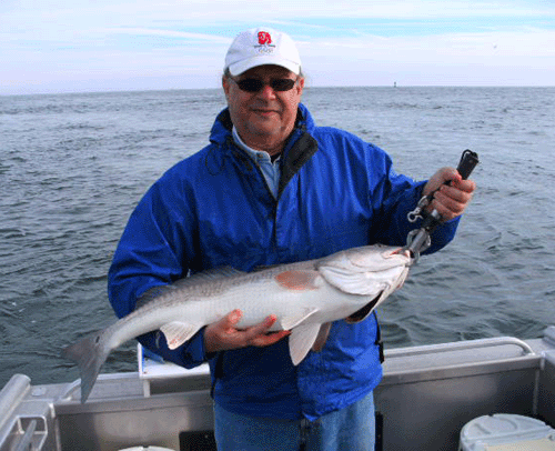 Click to Enlarge Photo