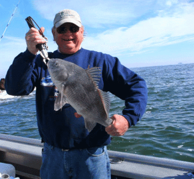 Click to Enlarge Photo