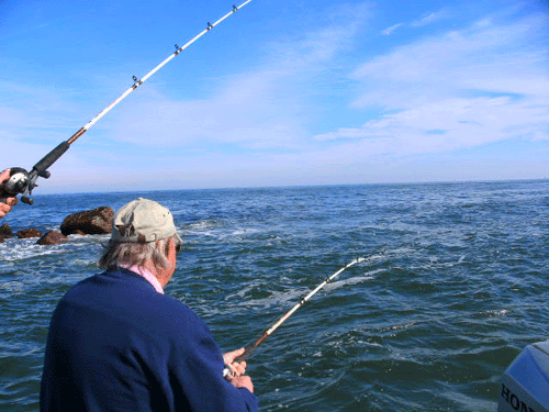 Click to Enlarge Photo