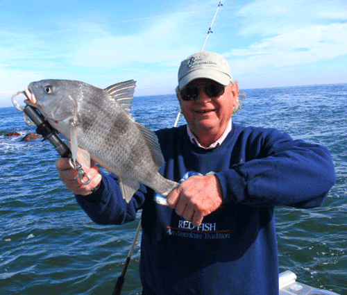 www.captdaves.com