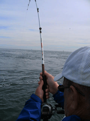 Click to Enlarge Photo