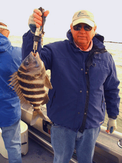www.captdaves.com