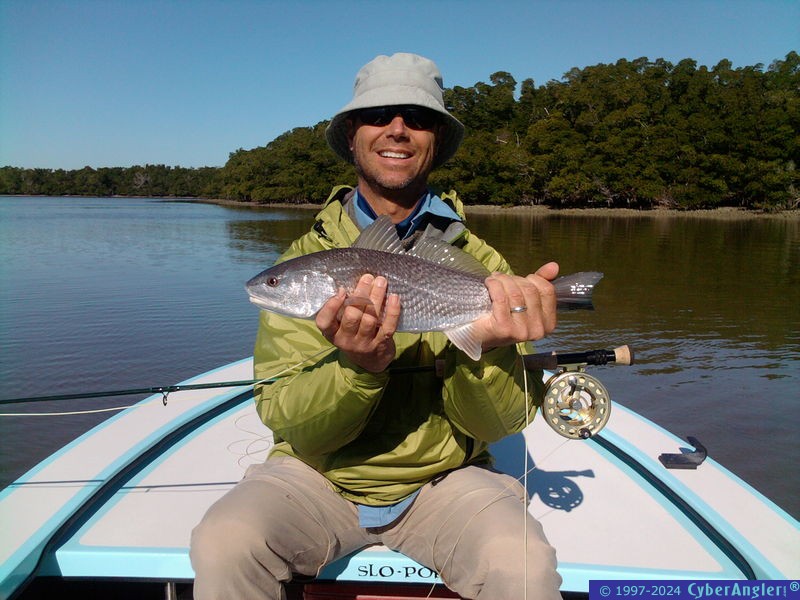 Redfish on fly