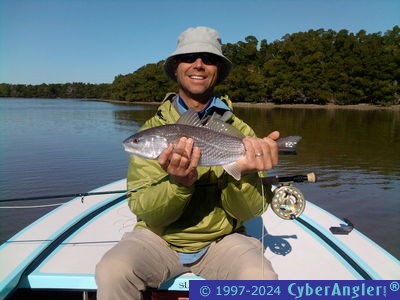 Redfish on fly