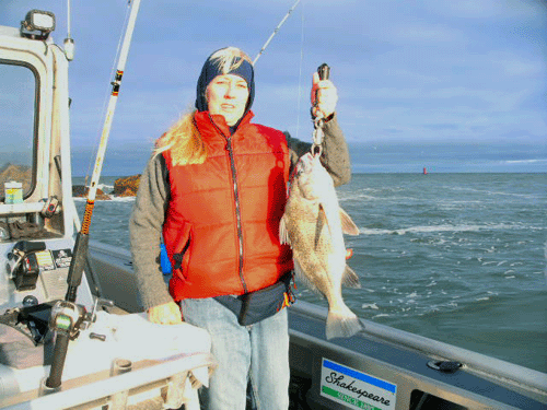 Black Drum, Redfish
