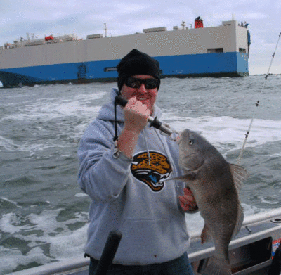 Black Drum, Redfish