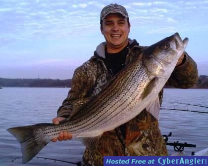 Lake Lanier Trophy Striper