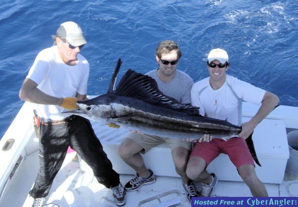 Jacobs_Sailfish