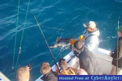 Click to Enlarge Photo