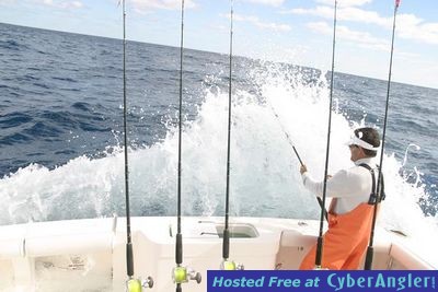 Click to Enlarge Photo