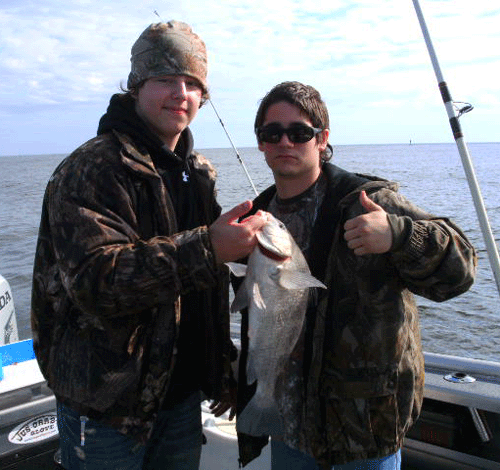 Click to Enlarge Photo