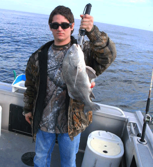 Click to Enlarge Photo