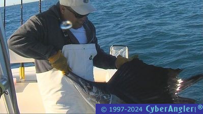 Fishing with Ancla TV