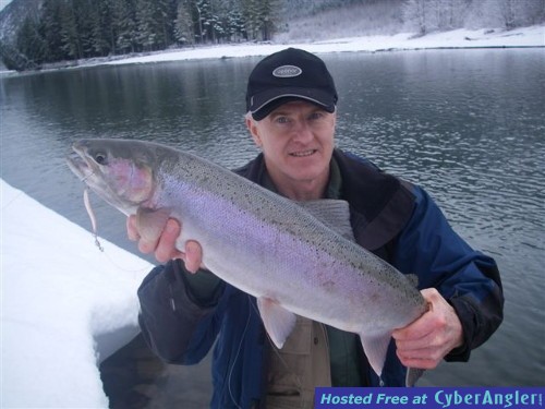 Winter Steelhead  http://www.noelgyger.ca