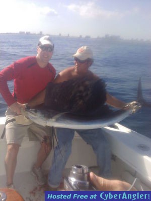 sailfish larry