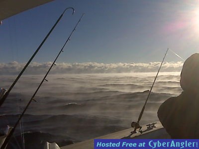 Click to Enlarge Photo