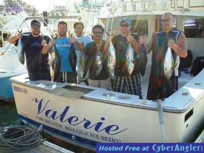 Click to Enlarge Photo