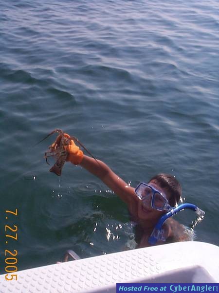 Mini Season 2005