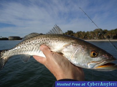 More_Winter_Trout_022