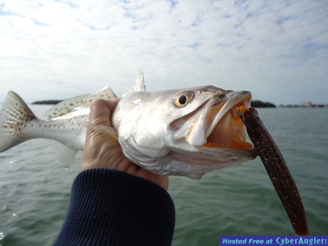 Cold_winter_action_005