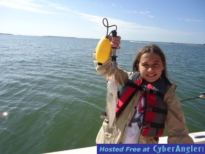 Click to Enlarge Photo