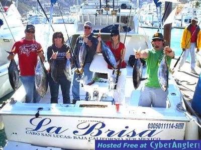 Click to Enlarge Photo