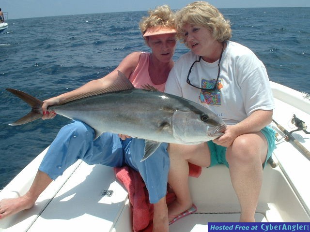 40 pound AJ