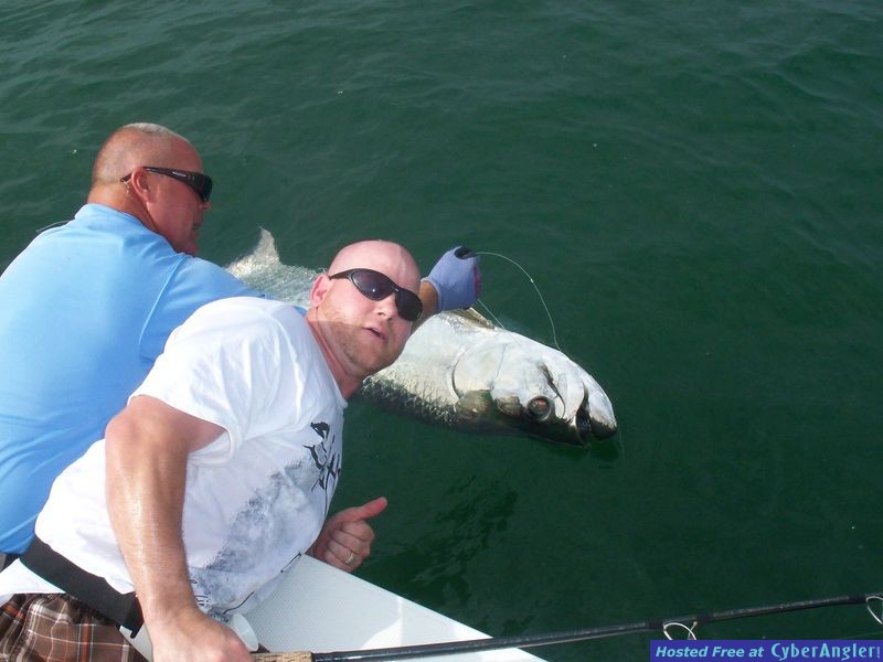 Tarpon
