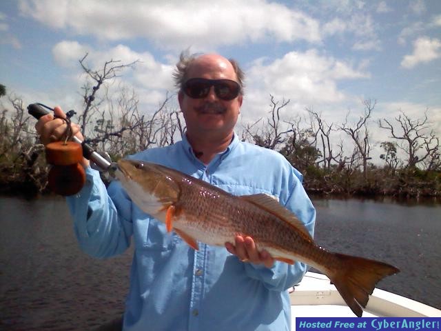Redfish