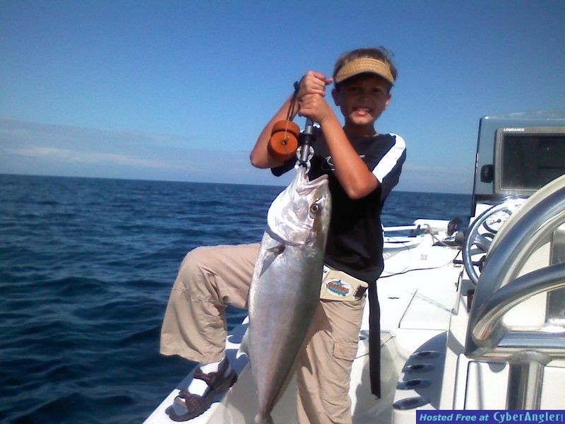Amberjack