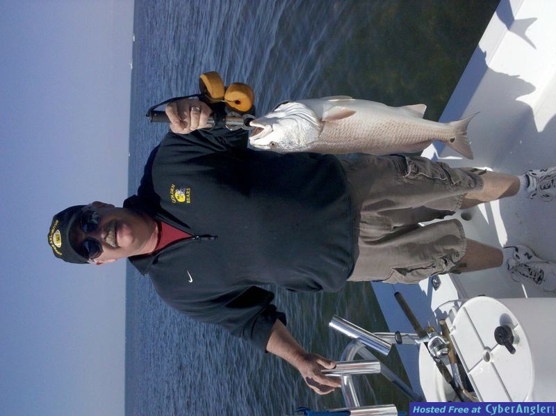Redfish