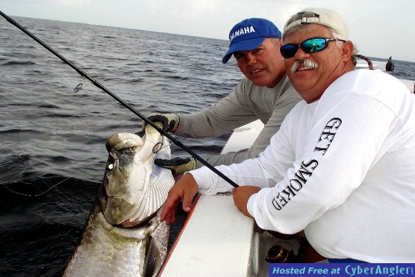 Tarpon
