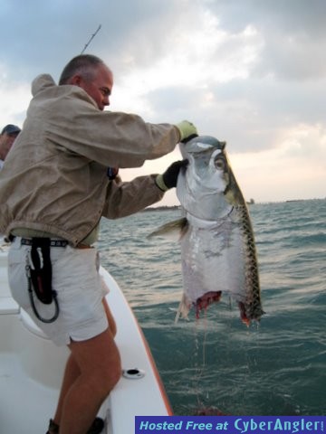 Tarpon Bite In Half