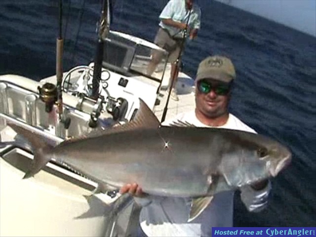 Amberjack
