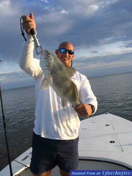 Black Drum