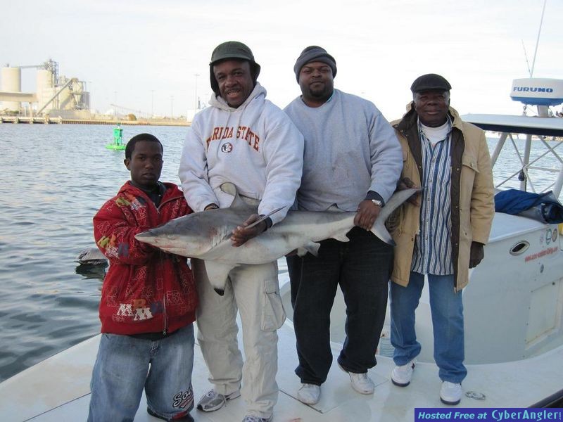 fishing_122910_blacktip