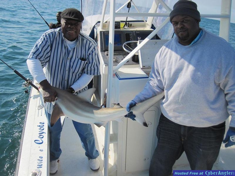 fishing_122910_blacktip_2
