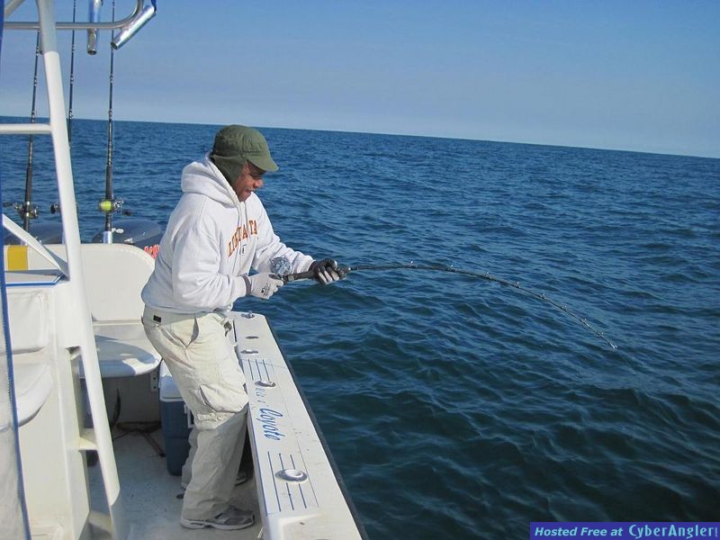 fishing_122910_shark_on