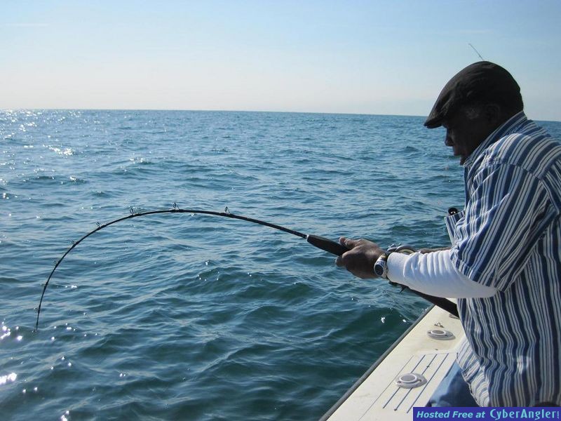 fishing_122910_shark_on2