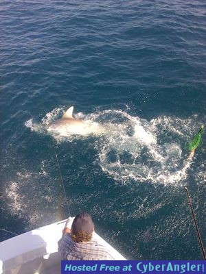 Click to Enlarge Photo