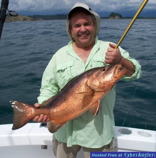 Hayes_Snapper