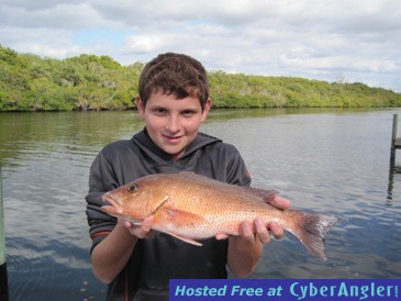 17-inch mangrove snapper