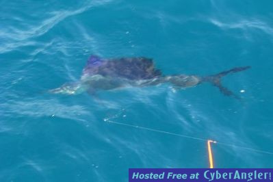 Click to Enlarge Photo