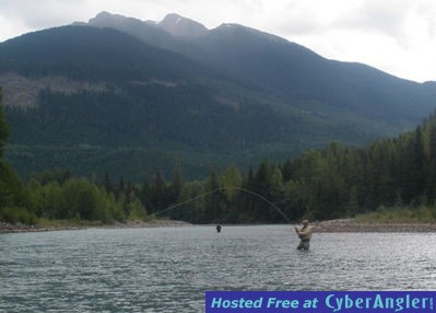 Click to Enlarge Photo