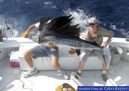 Key West Sailfish