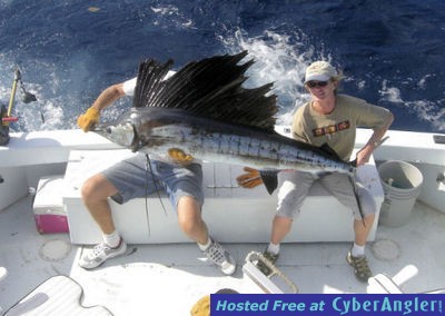 Key West Sailfish