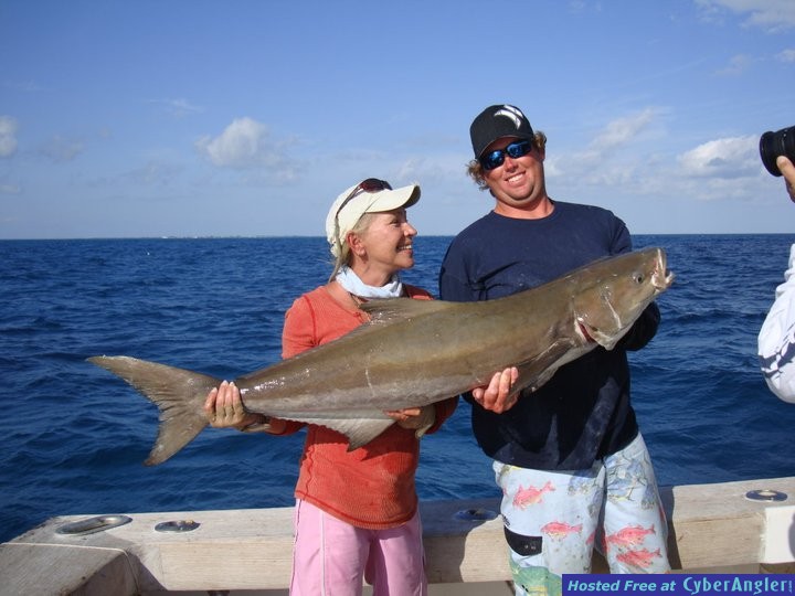 cobia