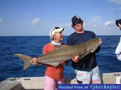 cobia