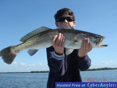 redfish31