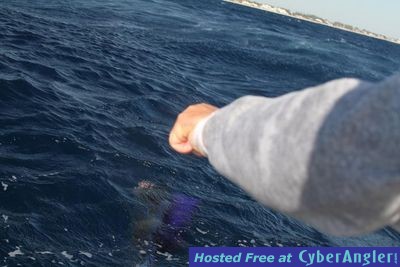 Click to Enlarge Photo